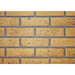 Napoleon Decorative Brick Panels Sandstone for Ascent