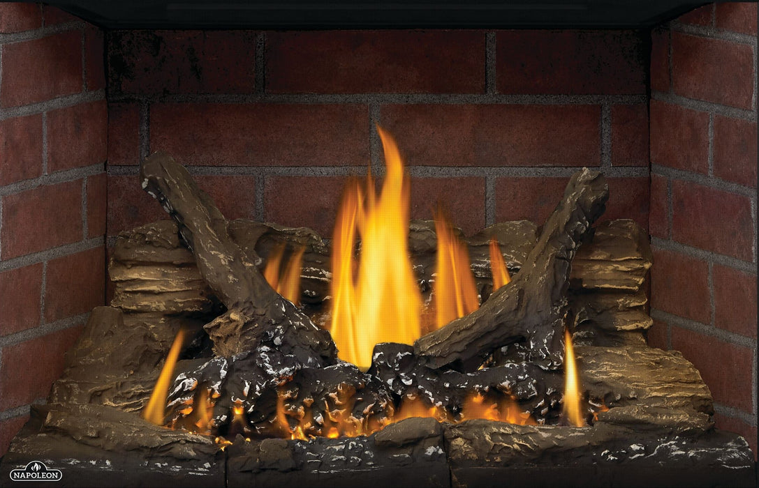 Napoleon Oakville GDIG3 Gas Fireplace Insert - GDIG3N