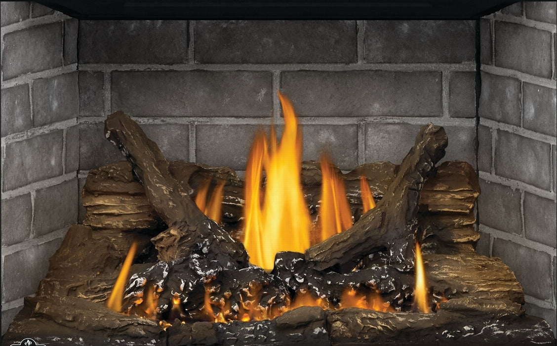 Napoleon Oakville GDIG3 Gas Fireplace Insert - GDIG3N