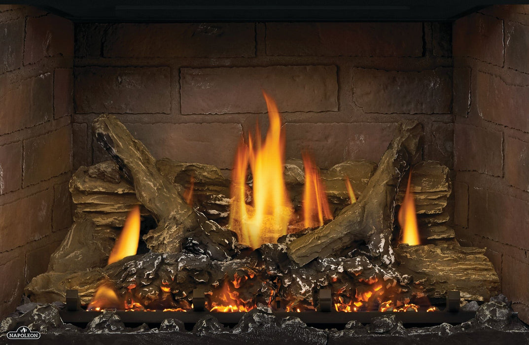 Napoleon Oakville GDIG3 Gas Fireplace Insert - GDIG3N