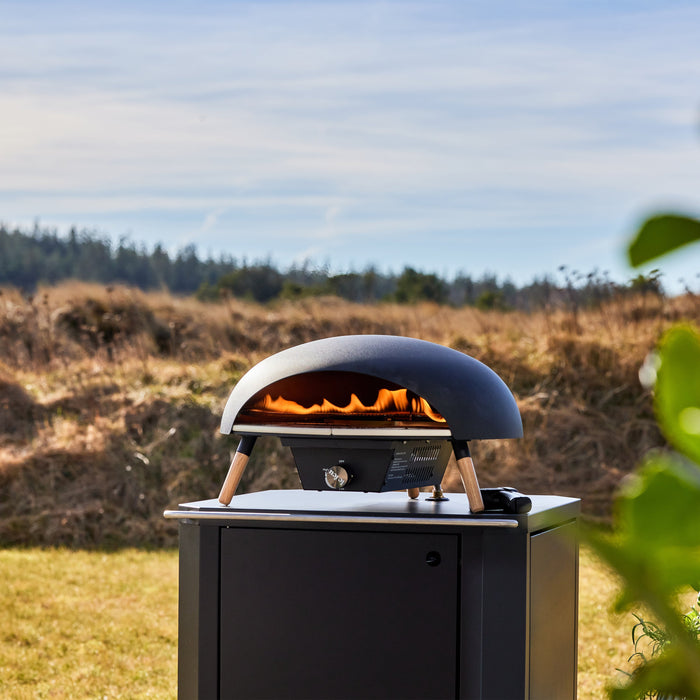 Le Feu Turtle Gas Powered Pizza Oven