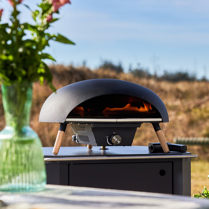 Le Feu Turtle Gas Powered Pizza Oven