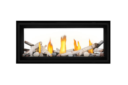 napoleon-luxuria-50-see-through-direct-vent-gas-fireplace